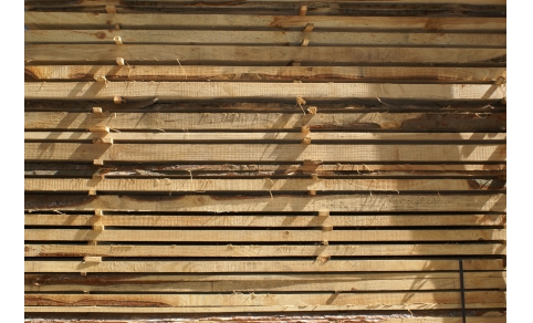 Tavoloni in legno Castagno
