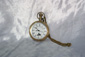 Orologio da tasca Railway Regulator